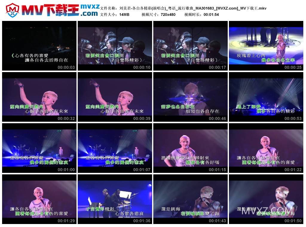 刘美君-各自各精彩(演唱会)_粤语_流行歌曲_MA301683